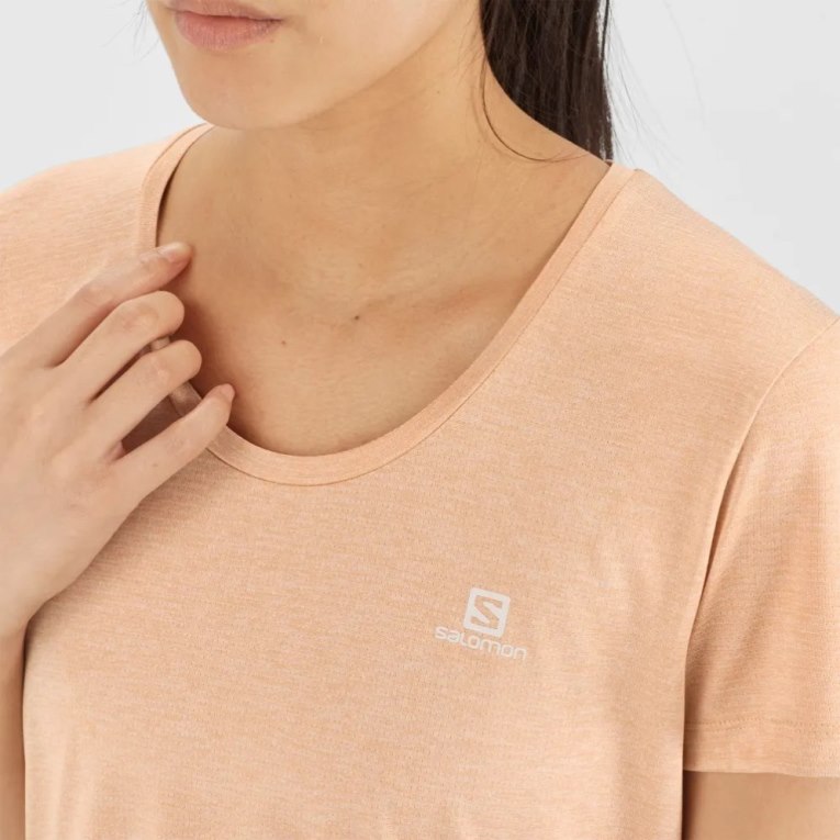 Apricot Salomon Agile Short Sleeve Women's T-Shirts | IE ET2463